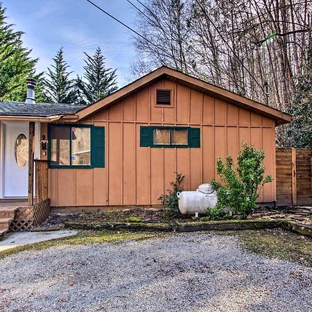 ガトリンバーグ Couples Cabin Great Smoky Arts And Crafts Communityヴィラ エクステリア 写真
